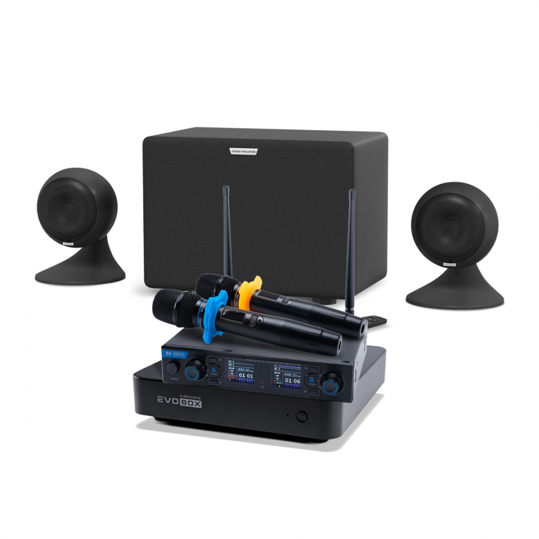 караоке-комплект EVOBOX + EvoSound Sphere 2.1 в Мурманской области
