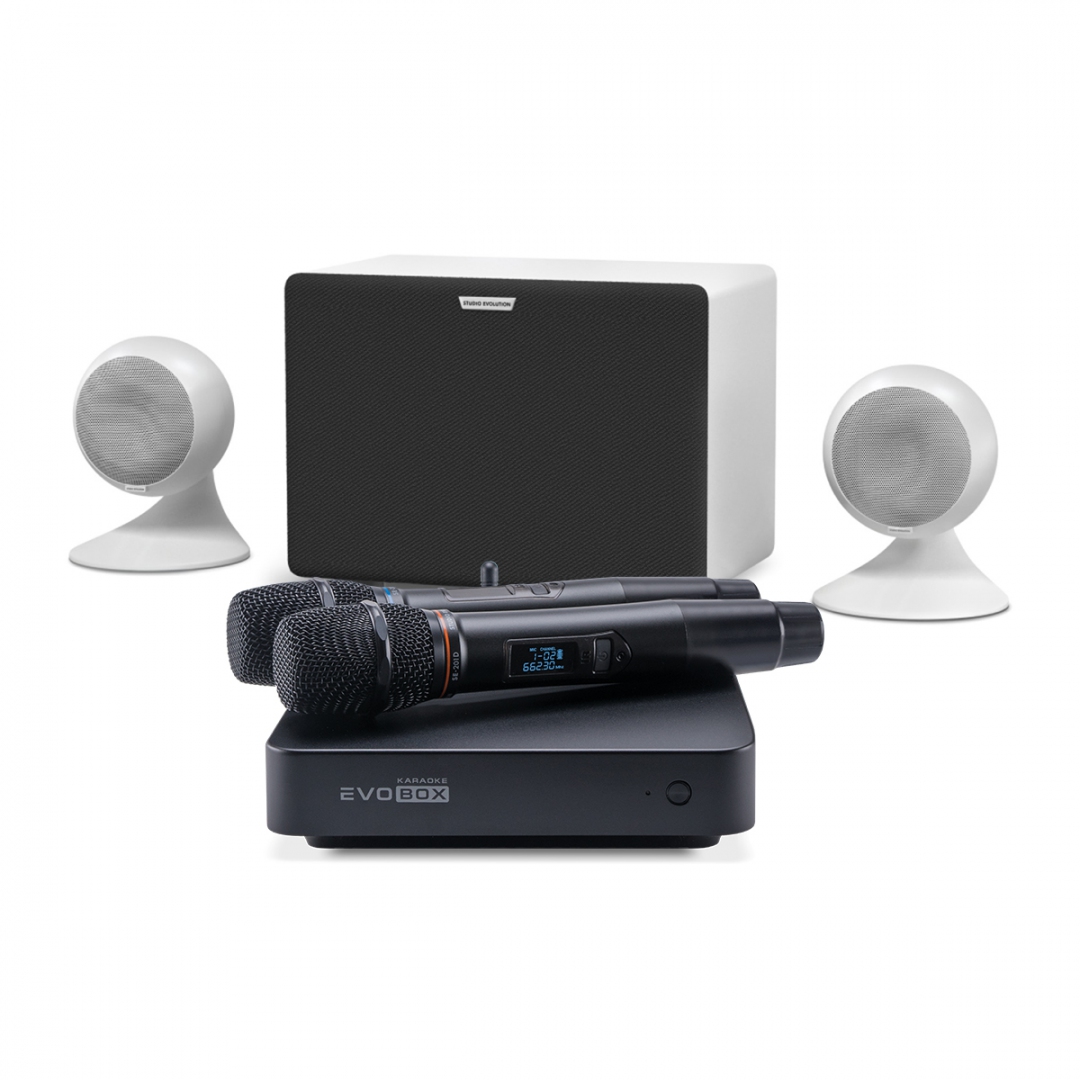 караоке-комплект EVOBOX Classic + EvoSound Sphere 2.1 в Мурманской области